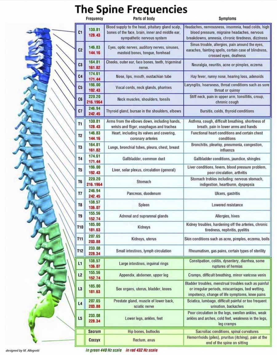 spine frequencies, healy spine frequencies, healy, frequency, device, Healy use, self care, health care, Self Care, health, wellness, nutrition, Health Care, unit, microcurrent, machine, healy, frequencies